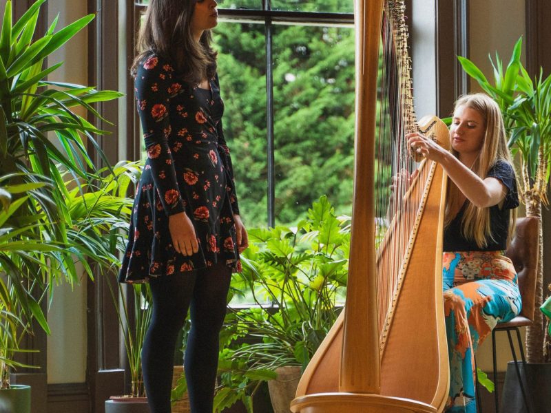 Harpist, vocalist and violinist perform as a trio for a wedding reception and ceremony in a popular yorkshire wedding venue.